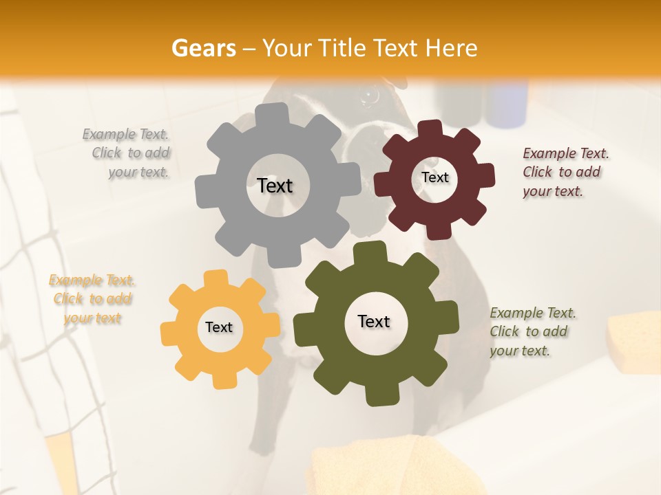 A Brown And White Dog Sitting In A Bath Tub PowerPoint Template