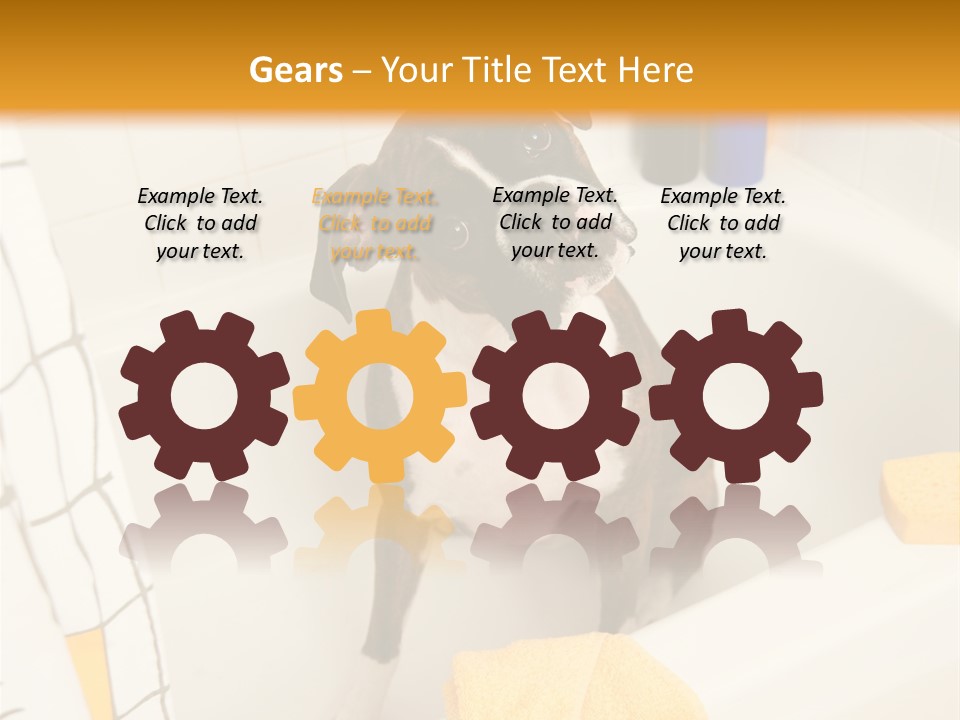 A Brown And White Dog Sitting In A Bath Tub PowerPoint Template