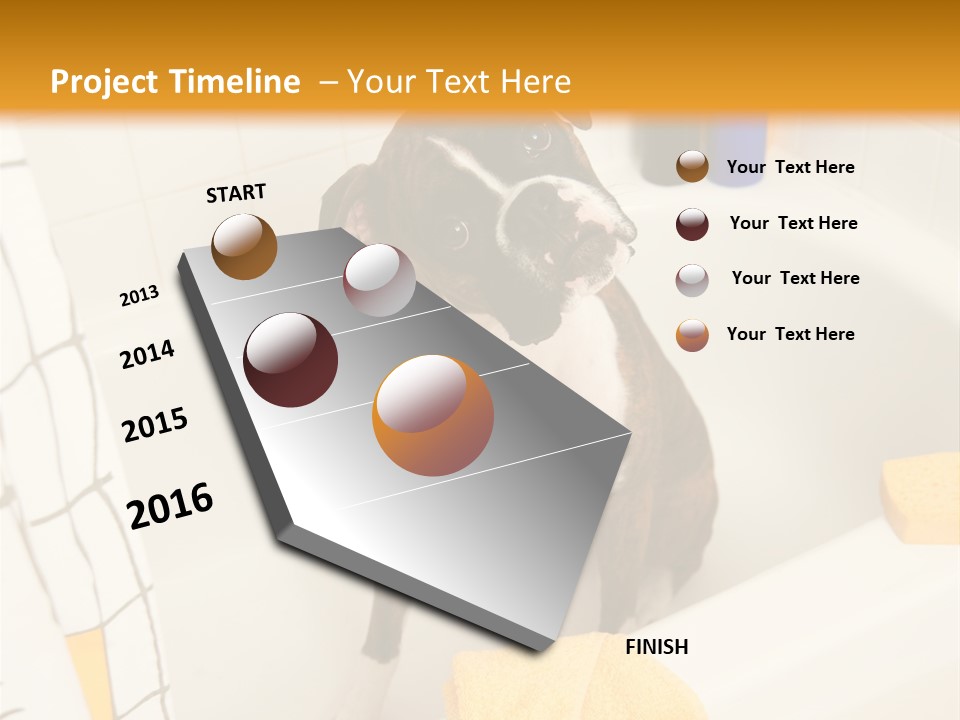 A Brown And White Dog Sitting In A Bath Tub PowerPoint Template