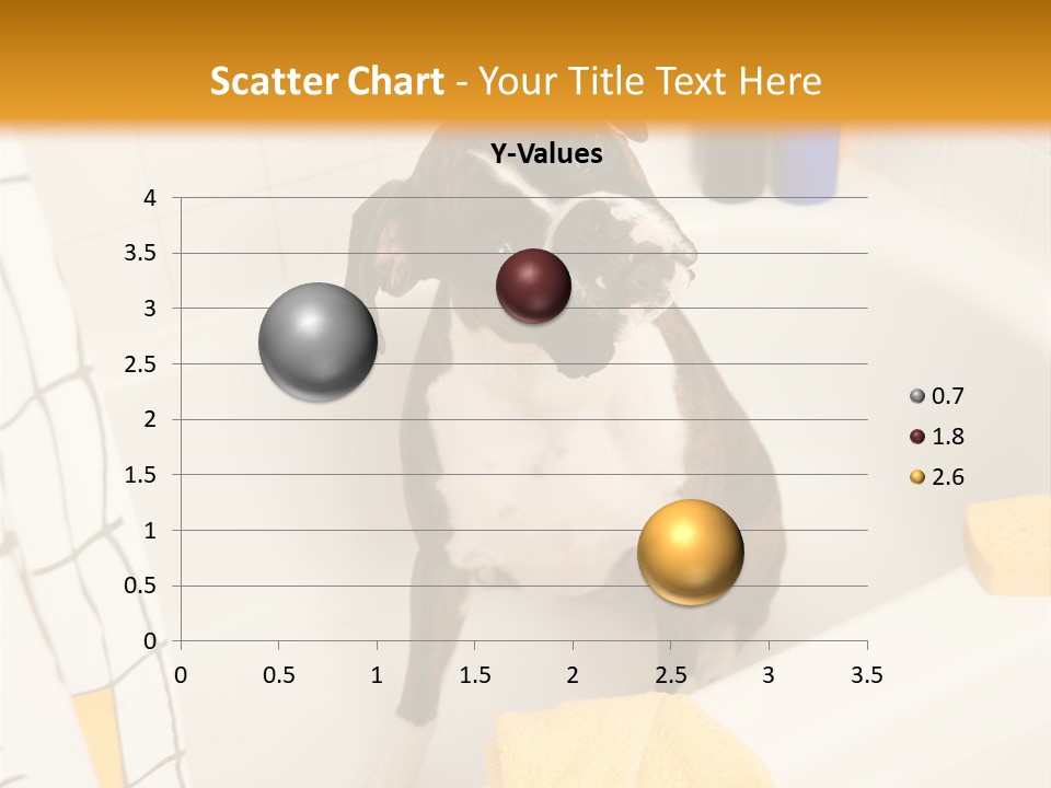 A Brown And White Dog Sitting In A Bath Tub PowerPoint Template