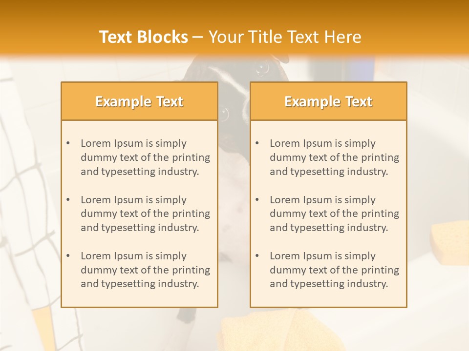 A Brown And White Dog Sitting In A Bath Tub PowerPoint Template