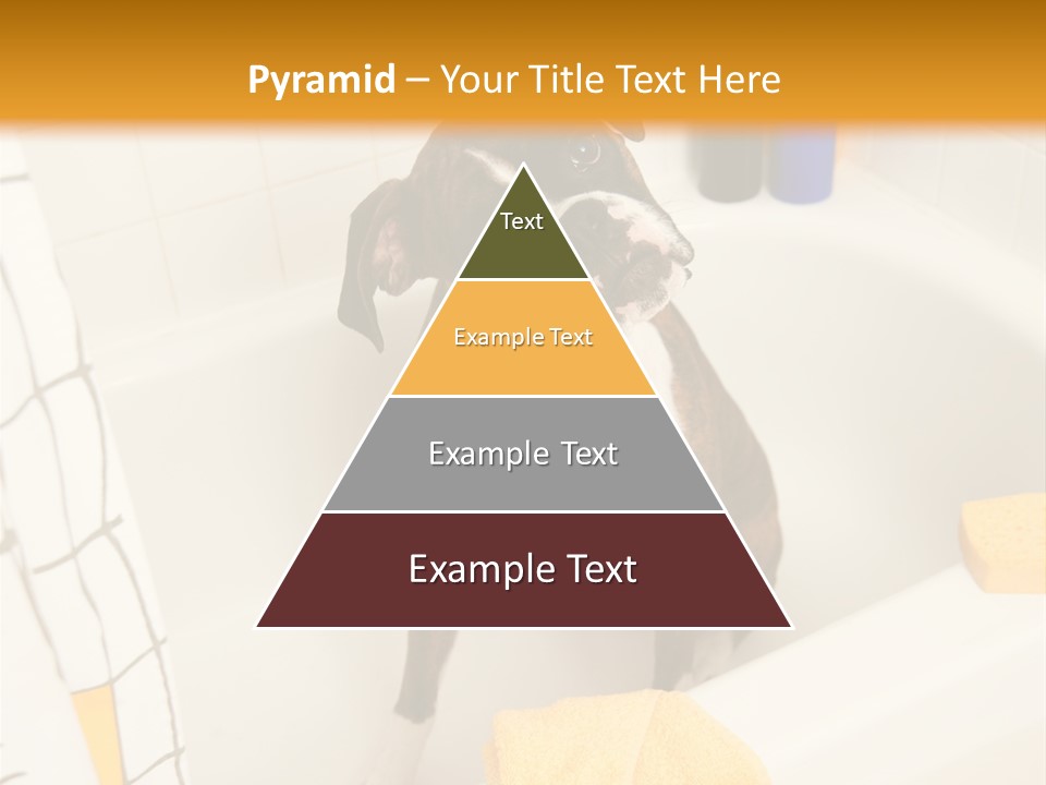 A Brown And White Dog Sitting In A Bath Tub PowerPoint Template