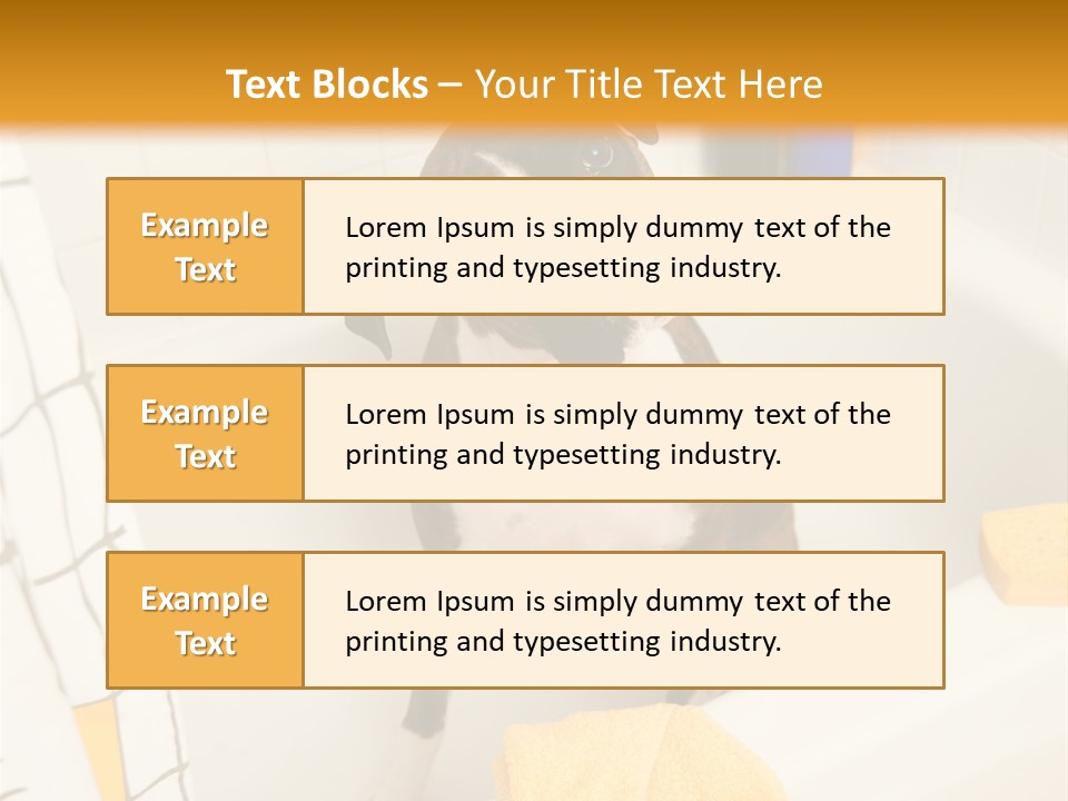 A Brown And White Dog Sitting In A Bath Tub PowerPoint Template
