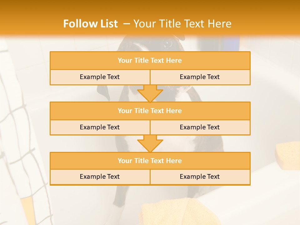 A Brown And White Dog Sitting In A Bath Tub PowerPoint Template