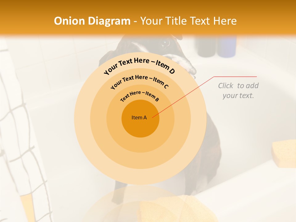 A Brown And White Dog Sitting In A Bath Tub PowerPoint Template