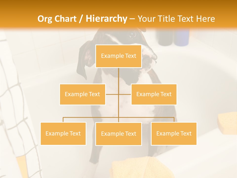 A Brown And White Dog Sitting In A Bath Tub PowerPoint Template