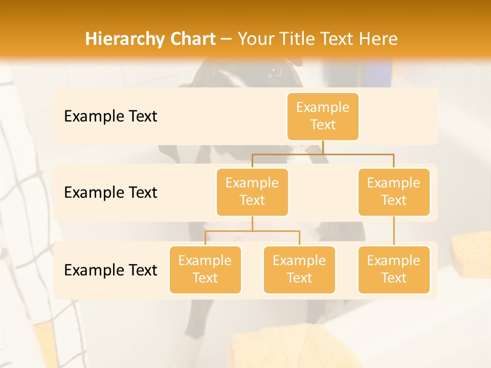 A Brown And White Dog Sitting In A Bath Tub PowerPoint Template