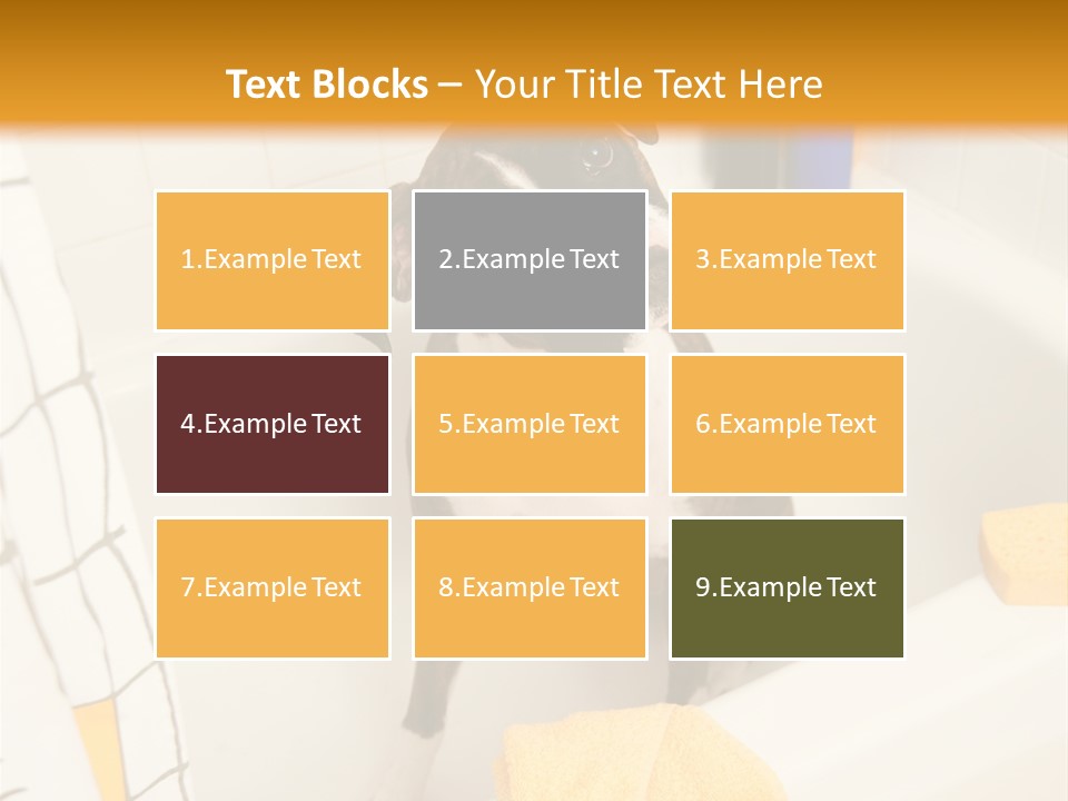 A Brown And White Dog Sitting In A Bath Tub PowerPoint Template