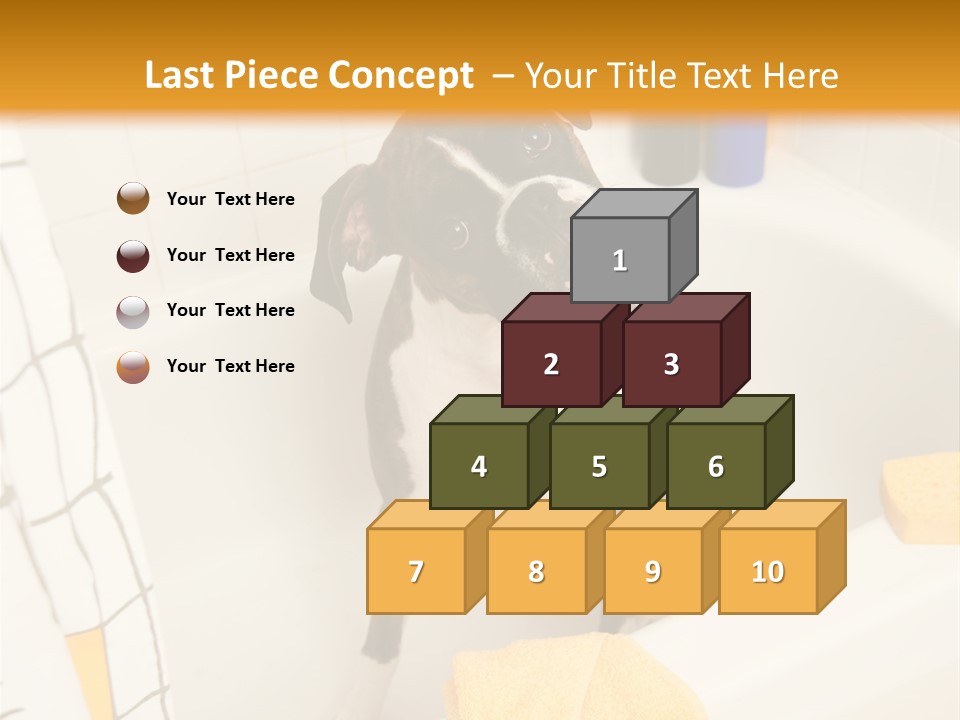 A Brown And White Dog Sitting In A Bath Tub PowerPoint Template