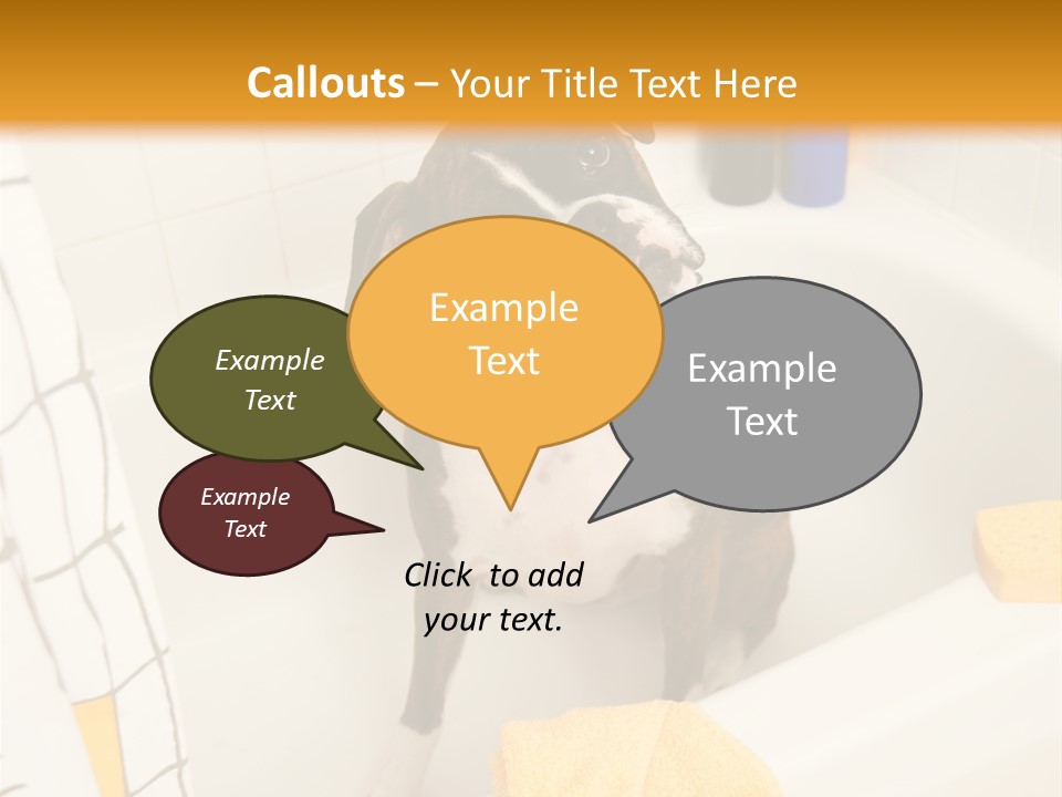 A Brown And White Dog Sitting In A Bath Tub PowerPoint Template