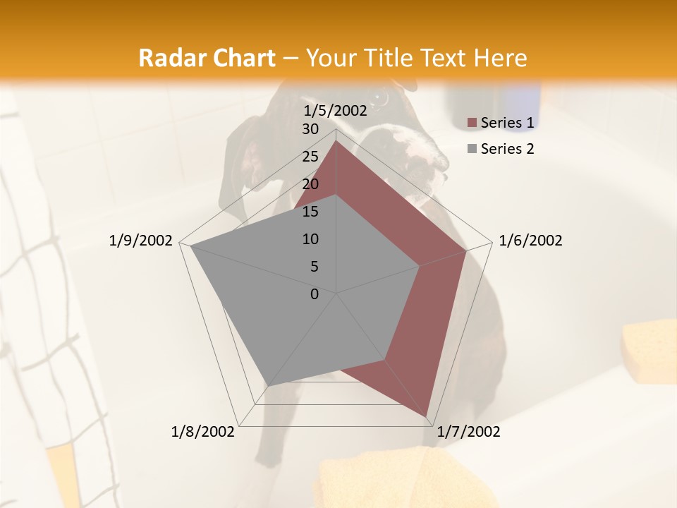 A Brown And White Dog Sitting In A Bath Tub PowerPoint Template