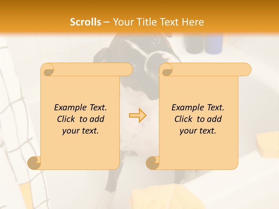 A Brown And White Dog Sitting In A Bath Tub PowerPoint Template