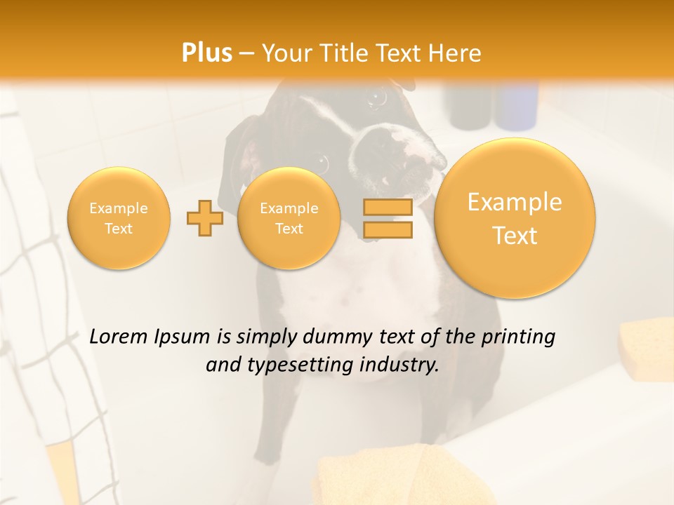 A Brown And White Dog Sitting In A Bath Tub PowerPoint Template