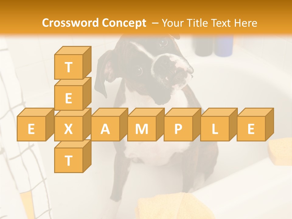 A Brown And White Dog Sitting In A Bath Tub PowerPoint Template