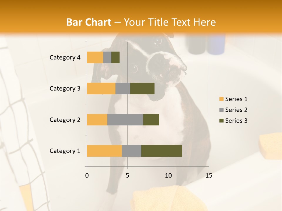A Brown And White Dog Sitting In A Bath Tub PowerPoint Template