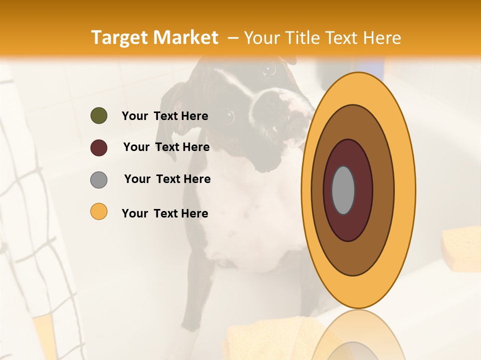 A Brown And White Dog Sitting In A Bath Tub PowerPoint Template