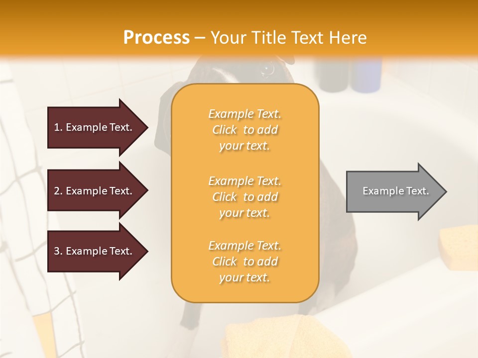 A Brown And White Dog Sitting In A Bath Tub PowerPoint Template