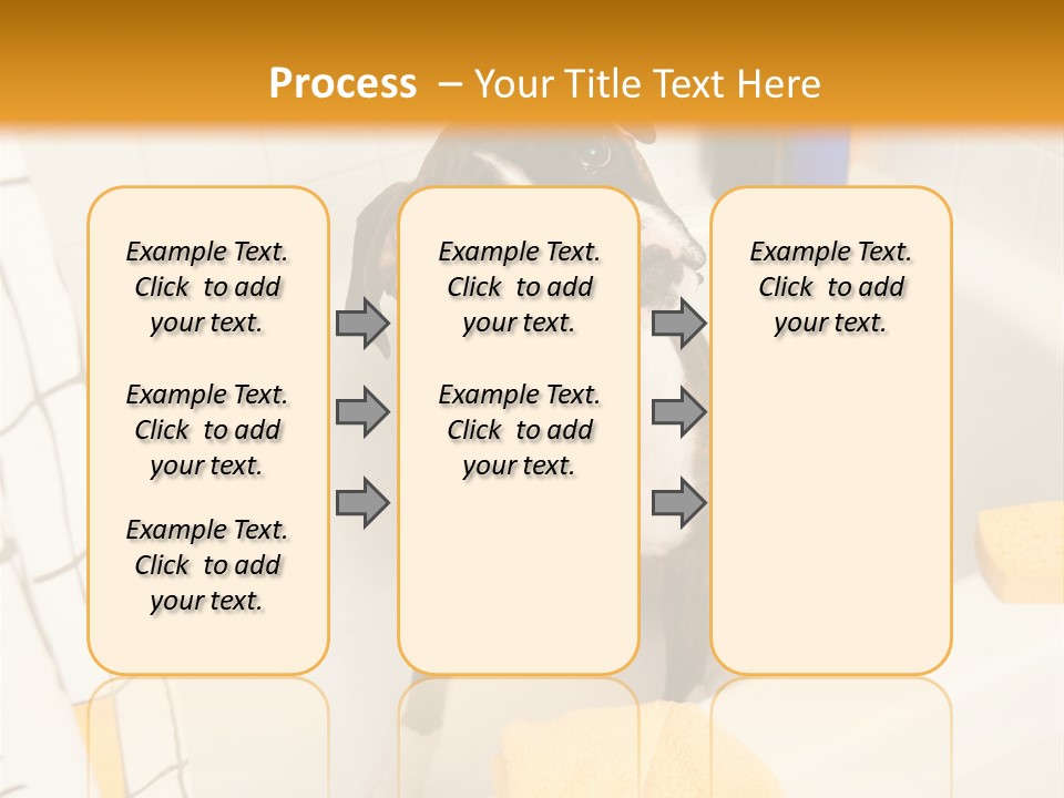 A Brown And White Dog Sitting In A Bath Tub PowerPoint Template