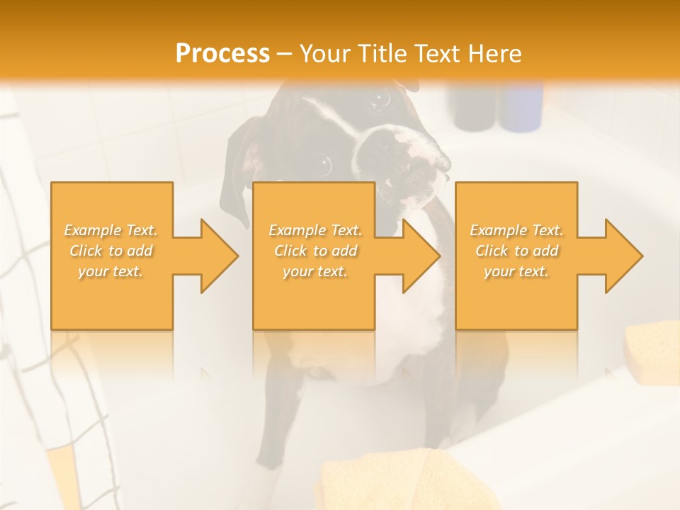 A Brown And White Dog Sitting In A Bath Tub PowerPoint Template