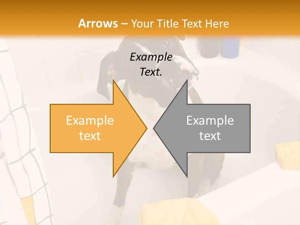 A Brown And White Dog Sitting In A Bath Tub PowerPoint Template