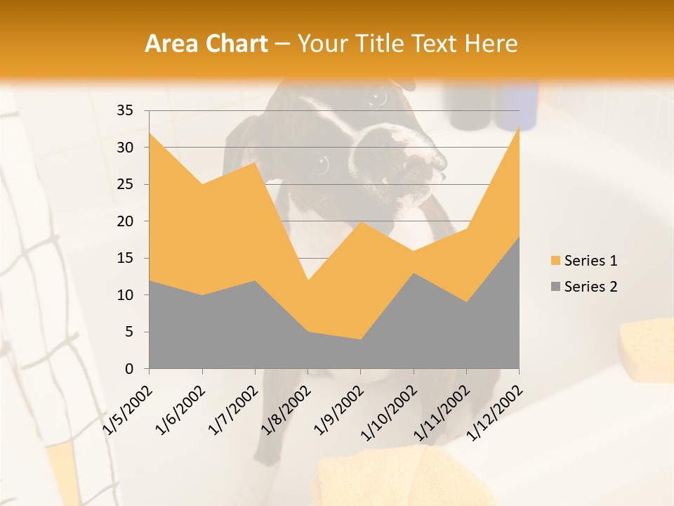 A Brown And White Dog Sitting In A Bath Tub PowerPoint Template