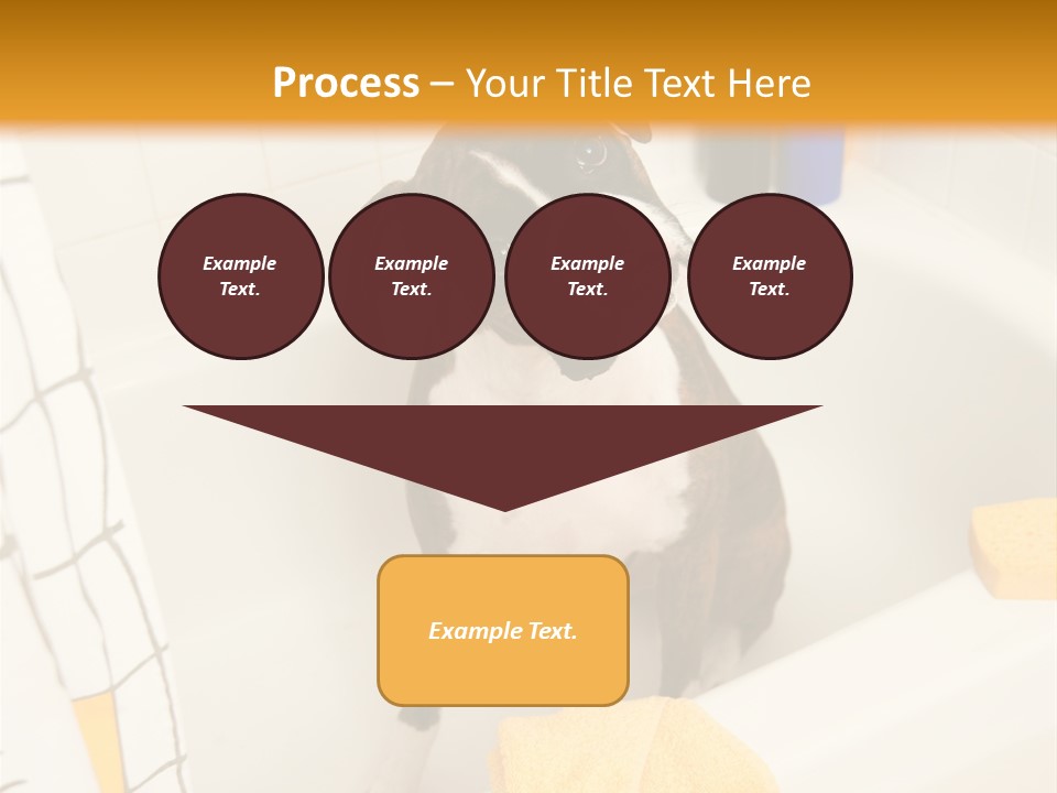 A Brown And White Dog Sitting In A Bath Tub PowerPoint Template