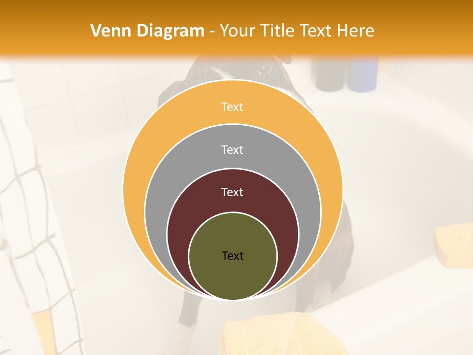 A Brown And White Dog Sitting In A Bath Tub PowerPoint Template