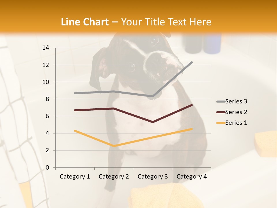 A Brown And White Dog Sitting In A Bath Tub PowerPoint Template