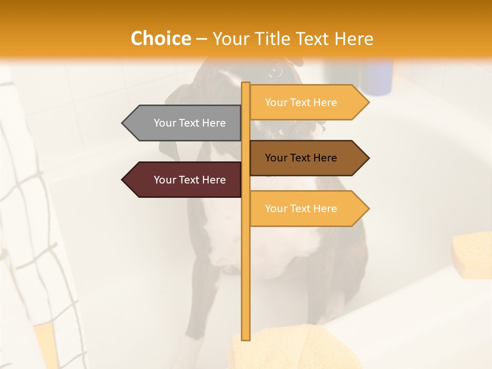 A Brown And White Dog Sitting In A Bath Tub PowerPoint Template