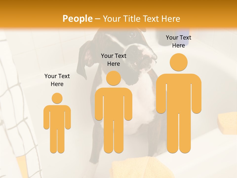 A Brown And White Dog Sitting In A Bath Tub PowerPoint Template