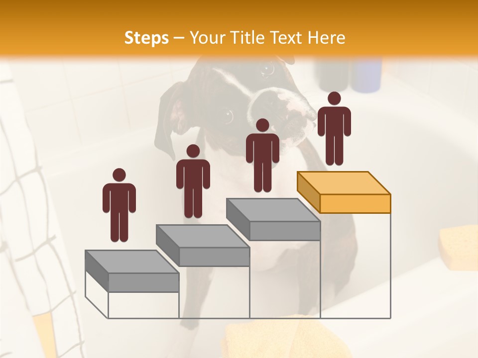 A Brown And White Dog Sitting In A Bath Tub PowerPoint Template