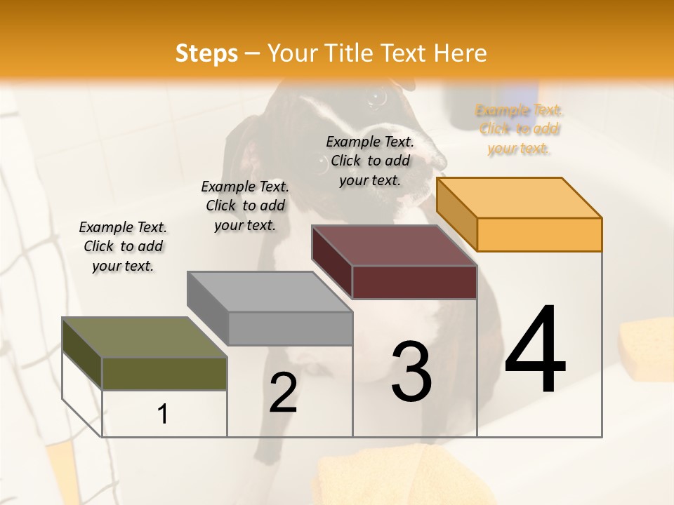 A Brown And White Dog Sitting In A Bath Tub PowerPoint Template