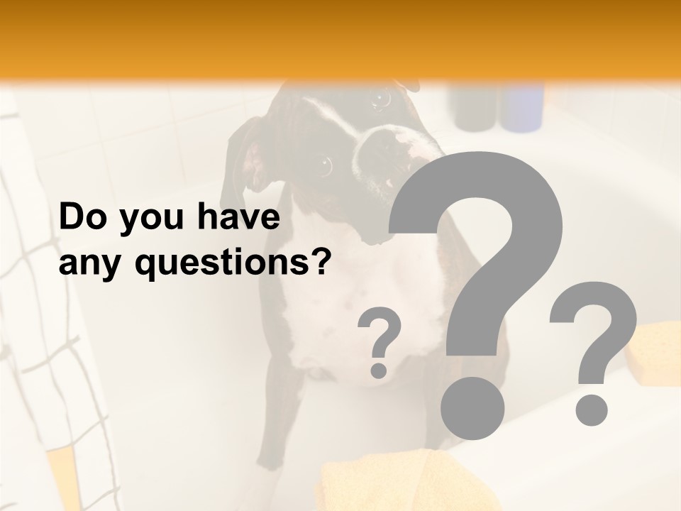 A Brown And White Dog Sitting In A Bath Tub PowerPoint Template