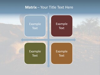 A Lion Cub Laying Down On A Dirt Road PowerPoint Template