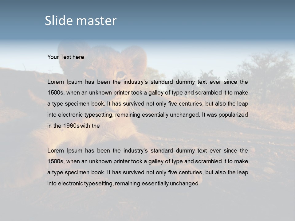 A Lion Cub Laying Down On A Dirt Road PowerPoint Template