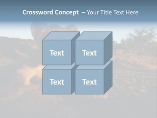 A Lion Cub Laying Down On A Dirt Road PowerPoint Template