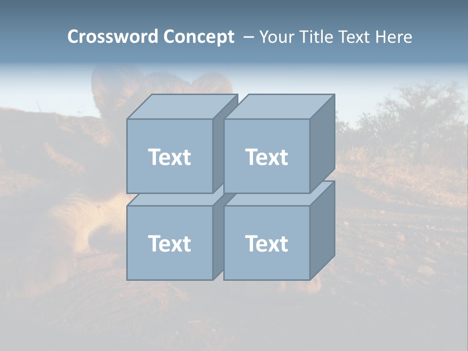 A Lion Cub Laying Down On A Dirt Road PowerPoint Template