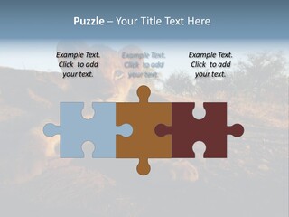 A Lion Cub Laying Down On A Dirt Road PowerPoint Template