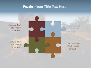 A Lion Cub Laying Down On A Dirt Road PowerPoint Template