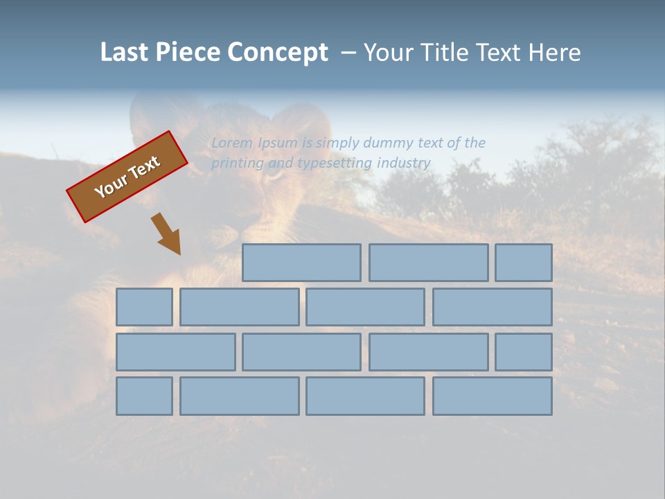 A Lion Cub Laying Down On A Dirt Road PowerPoint Template