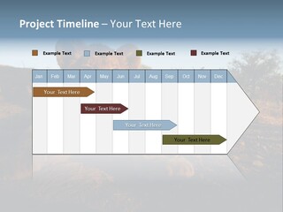 A Lion Cub Laying Down On A Dirt Road PowerPoint Template