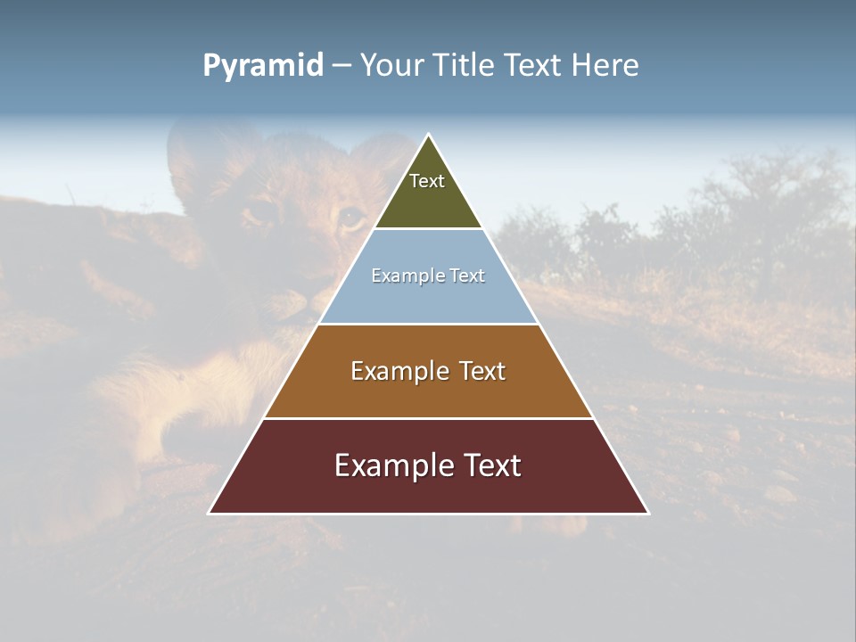 A Lion Cub Laying Down On A Dirt Road PowerPoint Template