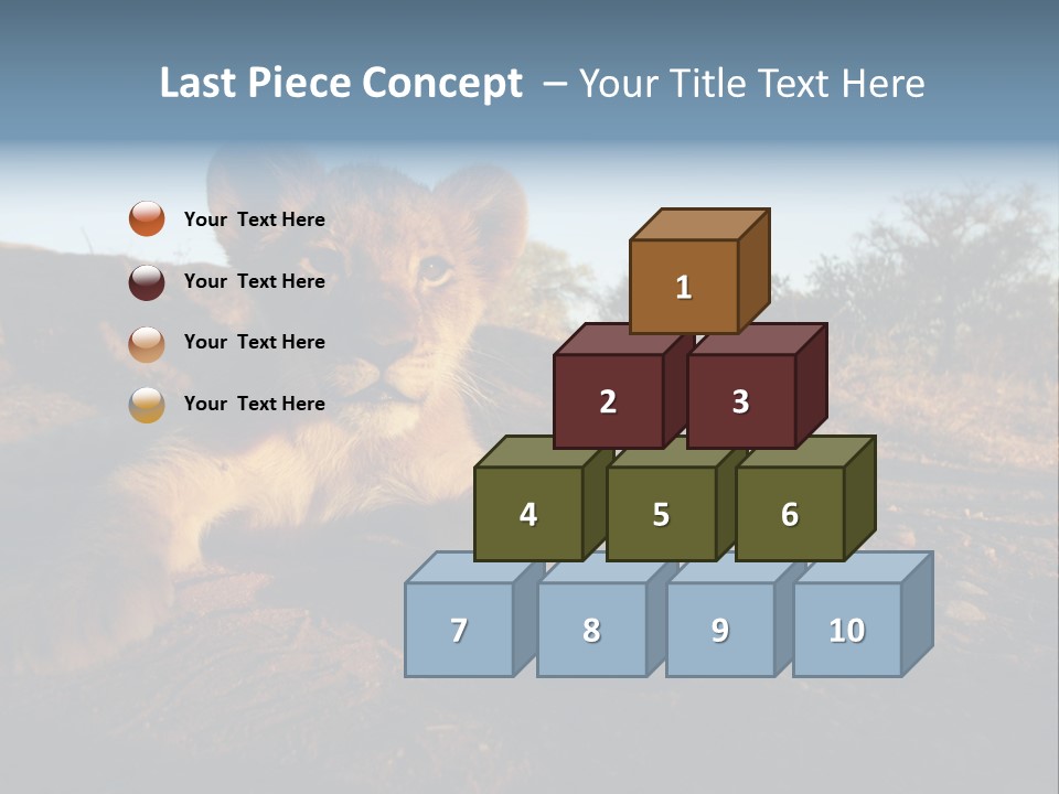 A Lion Cub Laying Down On A Dirt Road PowerPoint Template