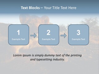 A Lion Cub Laying Down On A Dirt Road PowerPoint Template