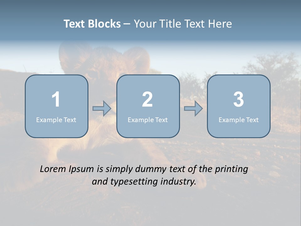 A Lion Cub Laying Down On A Dirt Road PowerPoint Template