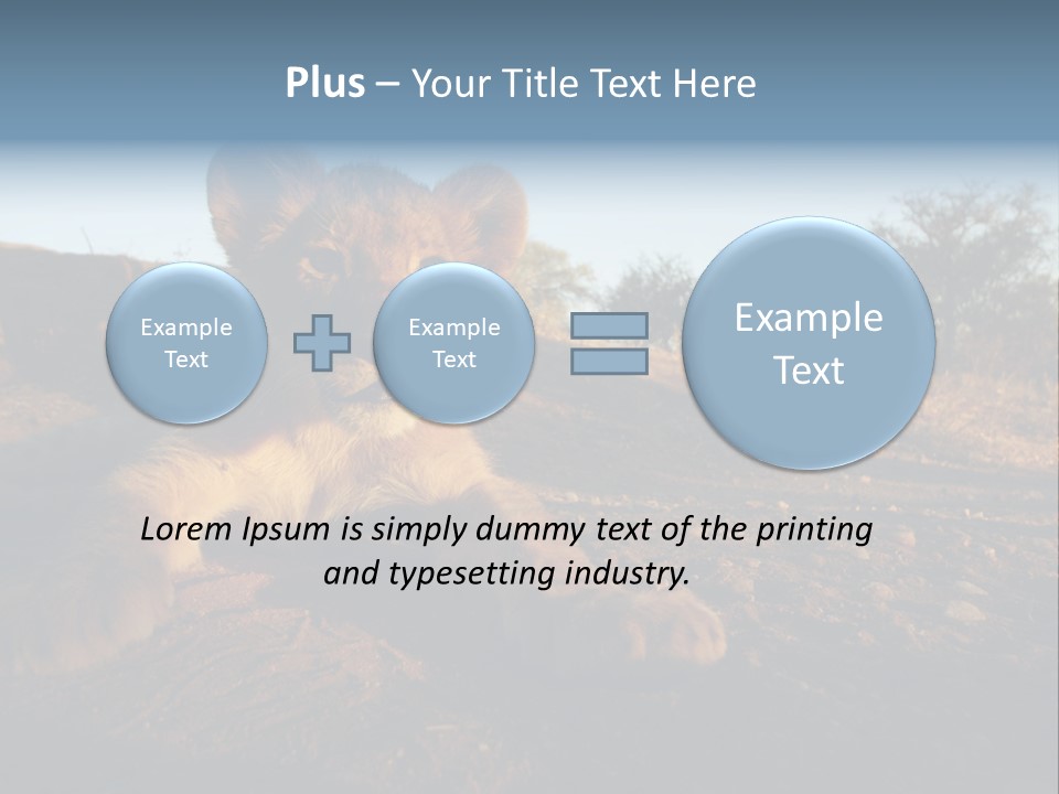 A Lion Cub Laying Down On A Dirt Road PowerPoint Template