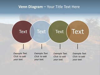 A Lion Cub Laying Down On A Dirt Road PowerPoint Template
