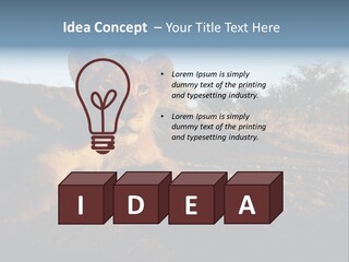A Lion Cub Laying Down On A Dirt Road PowerPoint Template