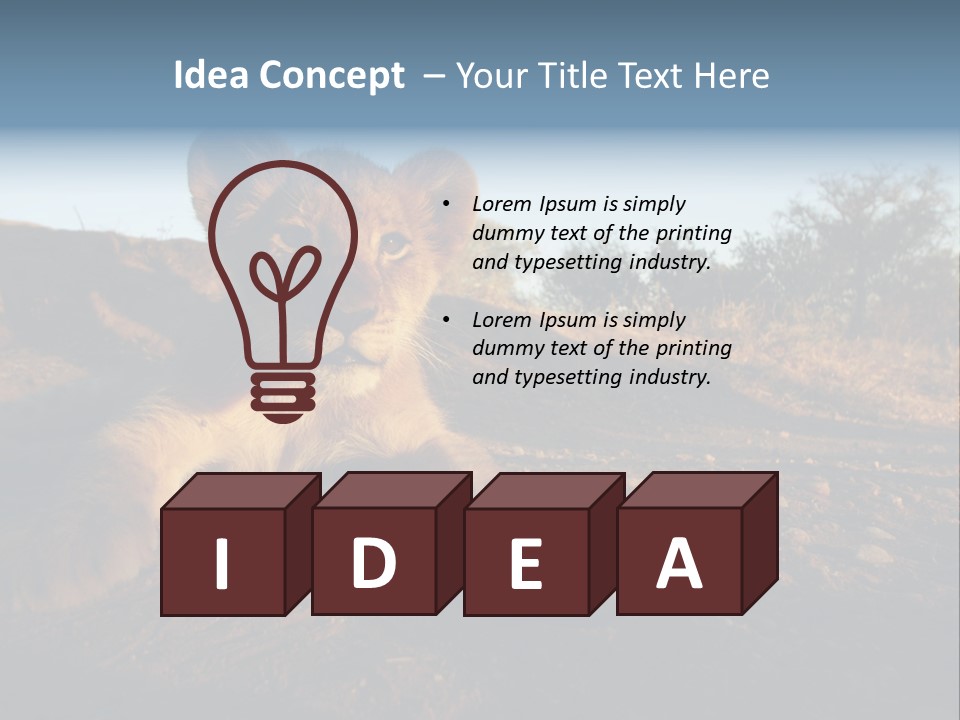 A Lion Cub Laying Down On A Dirt Road PowerPoint Template