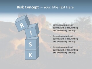 A Lion Cub Laying Down On A Dirt Road PowerPoint Template